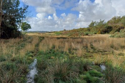 Jensen A425 PTO Biomass Chipper: Sustainable Biomass Solution