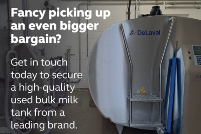 Pick up a bigger Dairy bargain