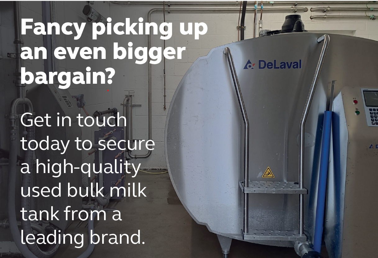 Pick up a bigger Dairy bargain