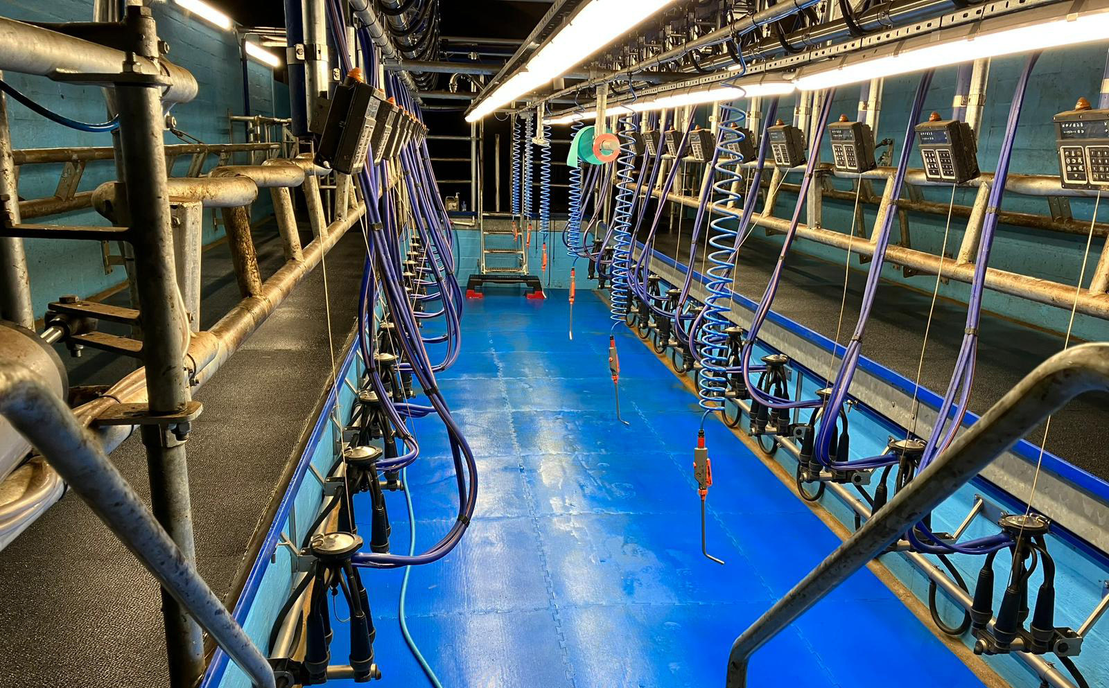 DeLaval’s 50° Herringbone parlour ups the ante for Jersey Manor Farm