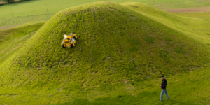 Spider on hill from distance