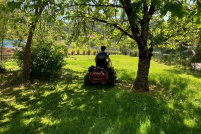 Why Ferris Should Be Your Next Riding Mower