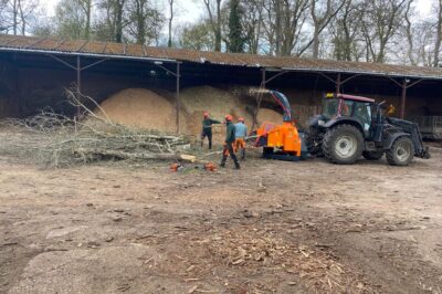 Sustainable Biofuel: Unlocking the Potential of Self-Produced Wood Chips