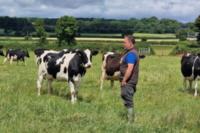 Robotic Grazing system boosts milk for Organic Farm