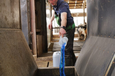 Is it time to embrace a new footbathing formulation?